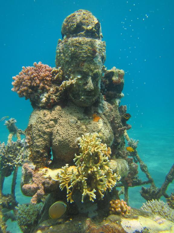 Biorock Homestay & Dive Center Pemuteran Extérieur photo