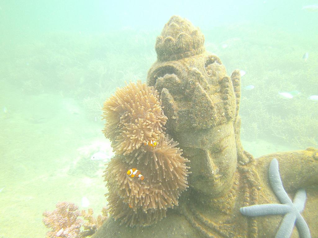 Biorock Homestay & Dive Center Pemuteran Extérieur photo
