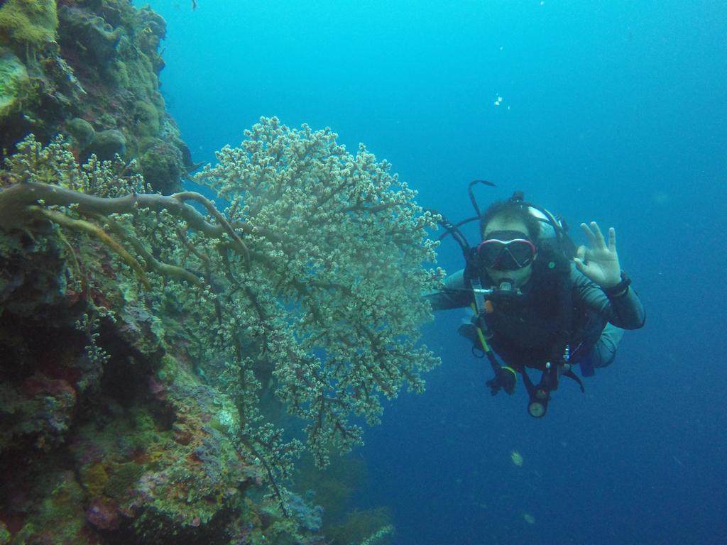 Biorock Homestay & Dive Center Pemuteran Extérieur photo