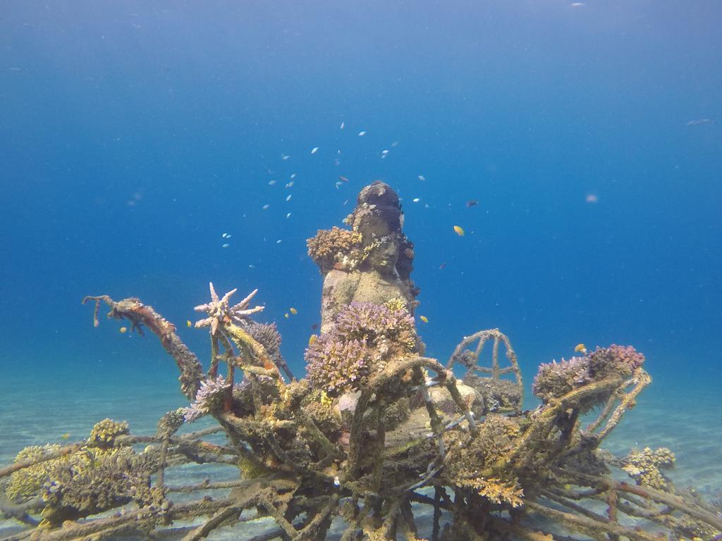 Biorock Homestay & Dive Center Pemuteran Extérieur photo